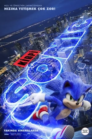 Kirpi Sonic izle