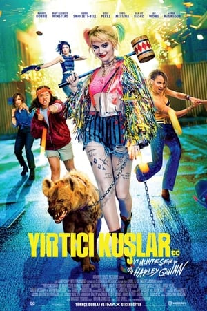 Yırtıcı Kuşlar (Muhteşem Harley Quinn) izle
