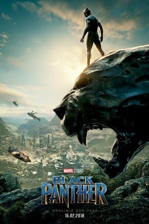Kara Panter izle