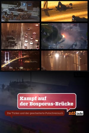 Boğaz Köprüsü’nde Boğazlaşma (2021)