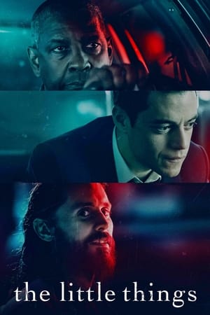 Küçük İpuçları – The Little Things izle