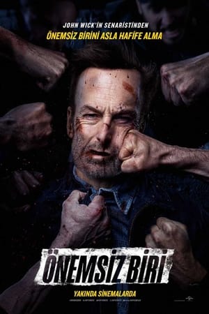 Önemsiz Biri – Nobody izle