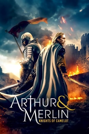 Arthur & Merlin: Knights of Camelot izle