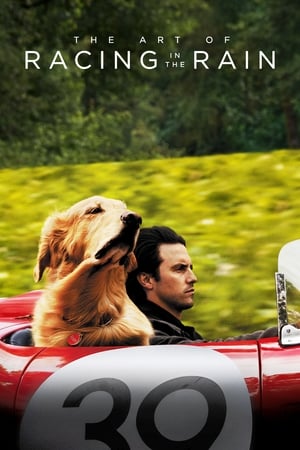 Enzo Yağmurda Yarış Sanatı – The Art of Racing in the Rain izle