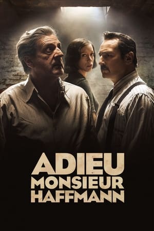 Farewell Mister Haffmann izle