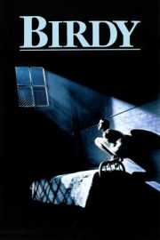 Birdy izle